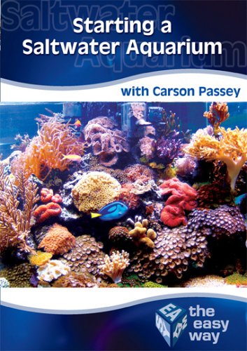 Starting A Saltwater Aquarium The Easy Way