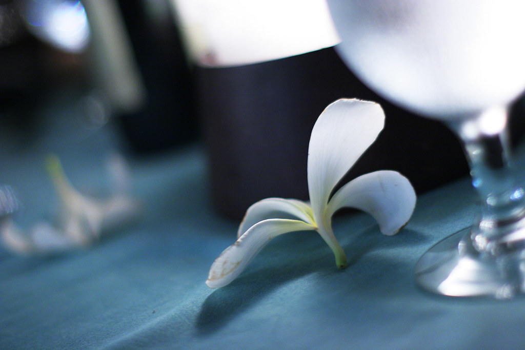 frangipani, the custom white balance test