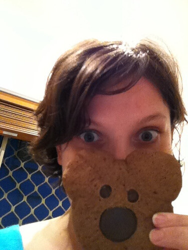 2011/365/6: teddy bear ickies for boo