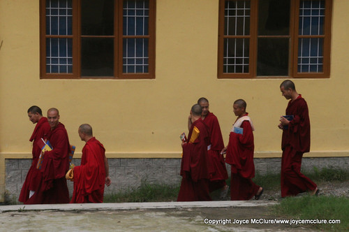 Group of Tibetan Buddhist monks walking together