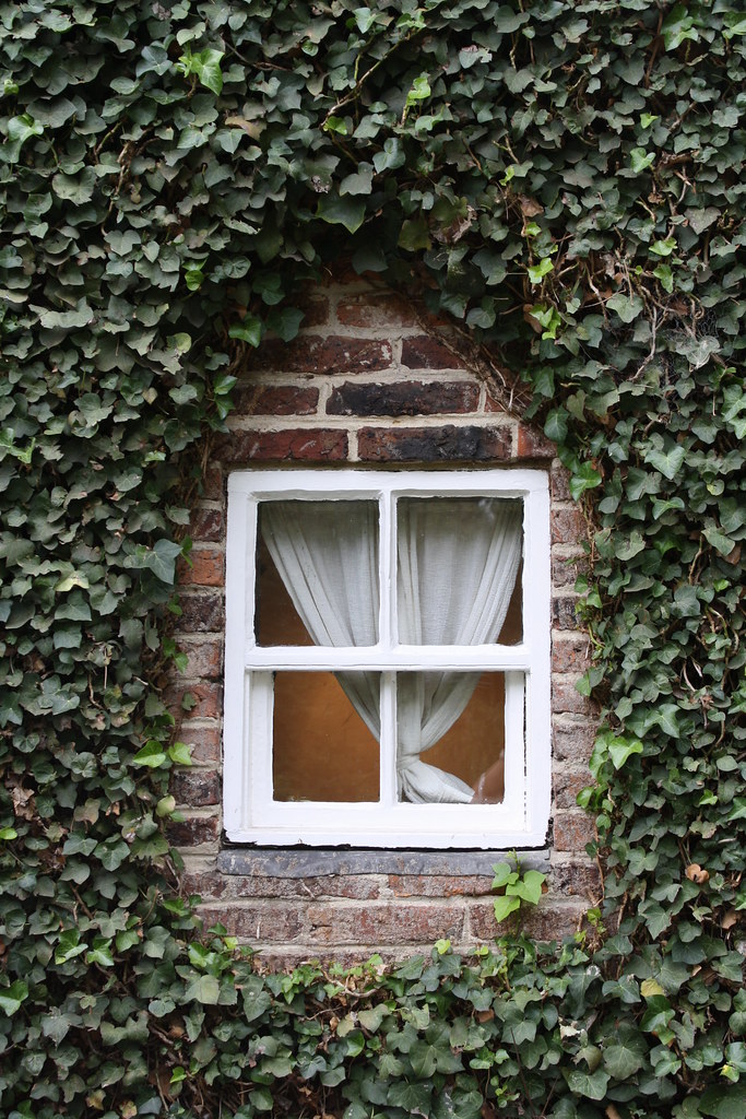 Cook's cottage window