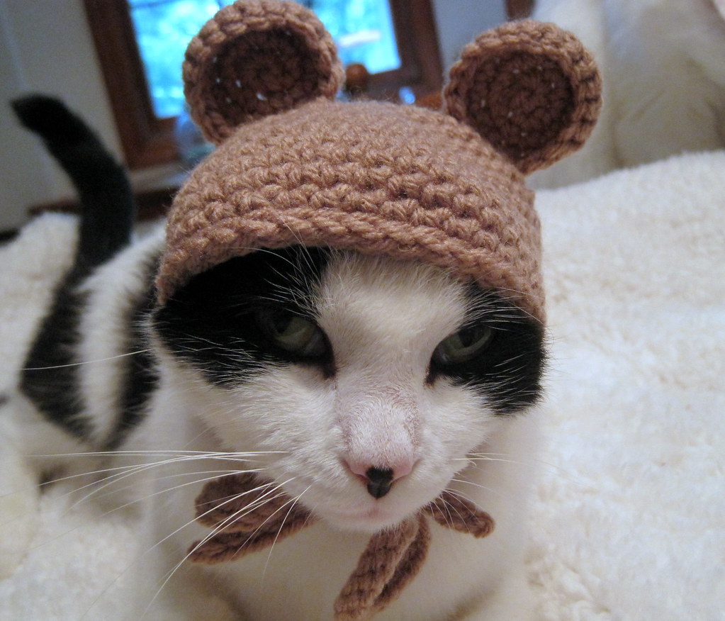 Pet Hat- Bear Beanie- Cat Hat- Photo Prop- Taupe