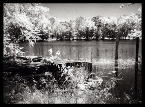 WEB-Free-project-Infrared-Film-Silver-print