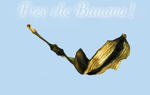 Free The Banana!