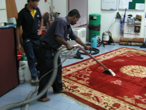 Carpet Shampooing in progress
