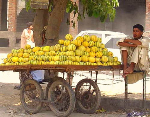 Melon vendor