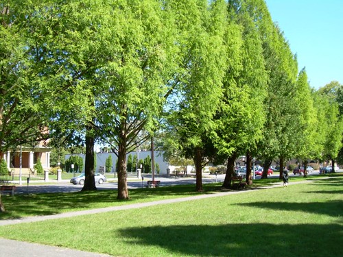 Academy Green Park