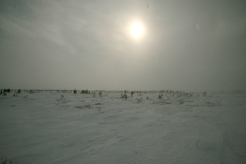 Manitoba 2008