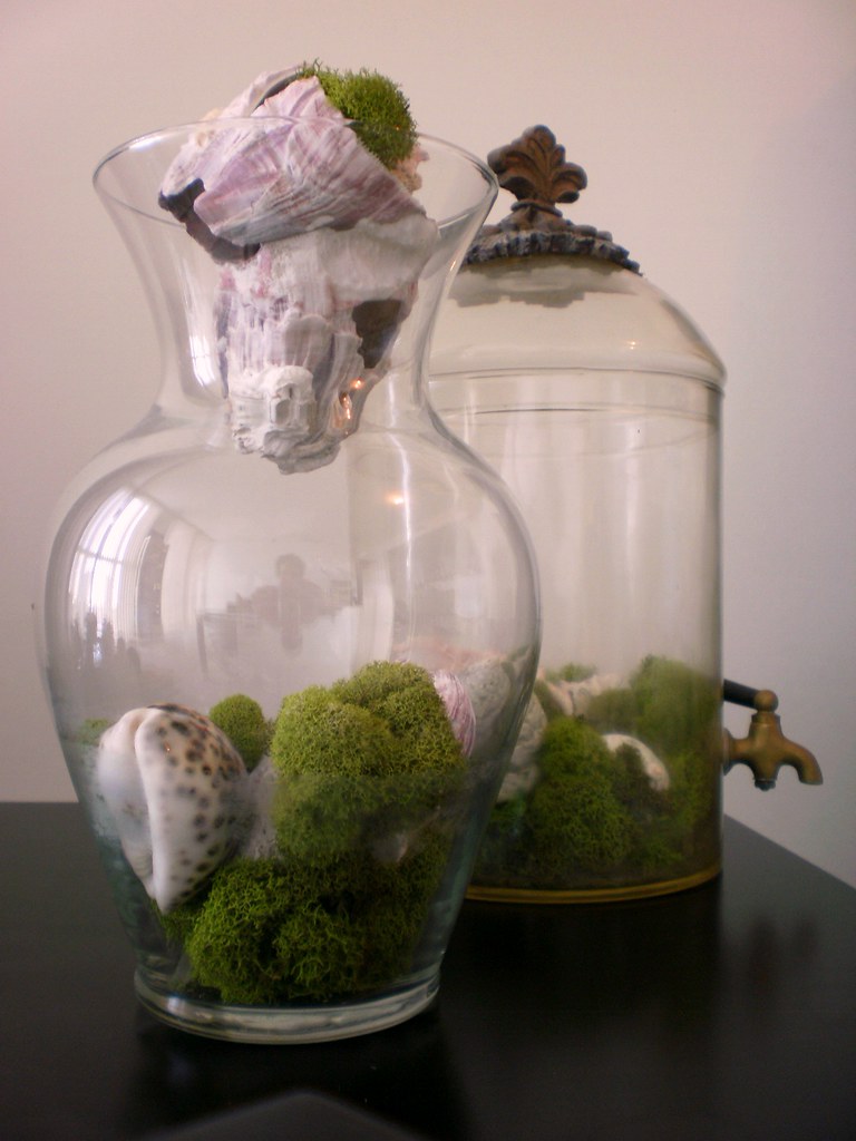 Glass, Moss & Seashells