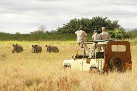 Tanzanian Safari by Sommer Dinning and Ray Dinning