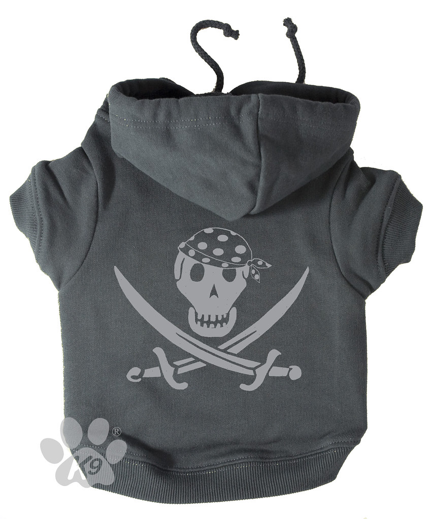 Silver Pirate Hoodie