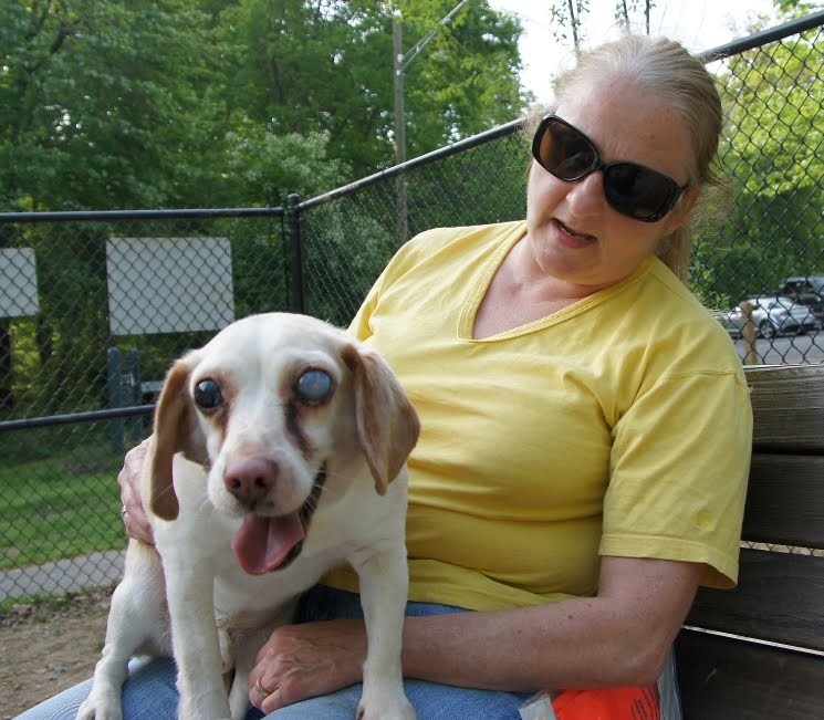 Pat and Buddy...an abused Beagle...check out article
