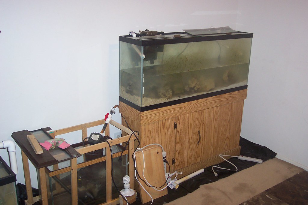 Saltwater aquarium setup