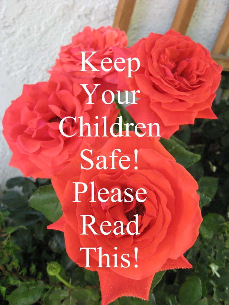 KEEP YOUR CHILDREN SAFE! PLEASE READ THIS!