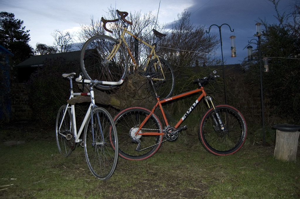 Bike Tree
