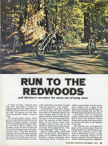 Run to the Redwoods