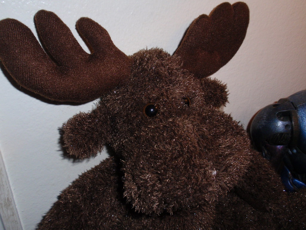 365 Toy Project, Three 099 365 - Moose 2