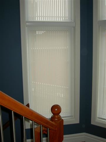 Filtered privacy with roller shades