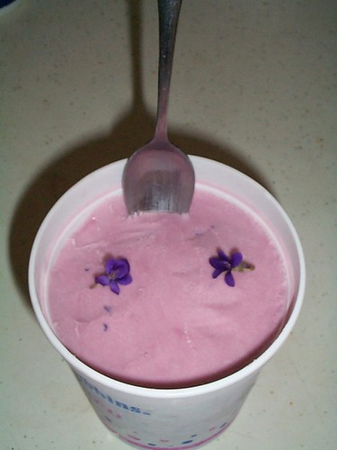 violet ice cream 2005
