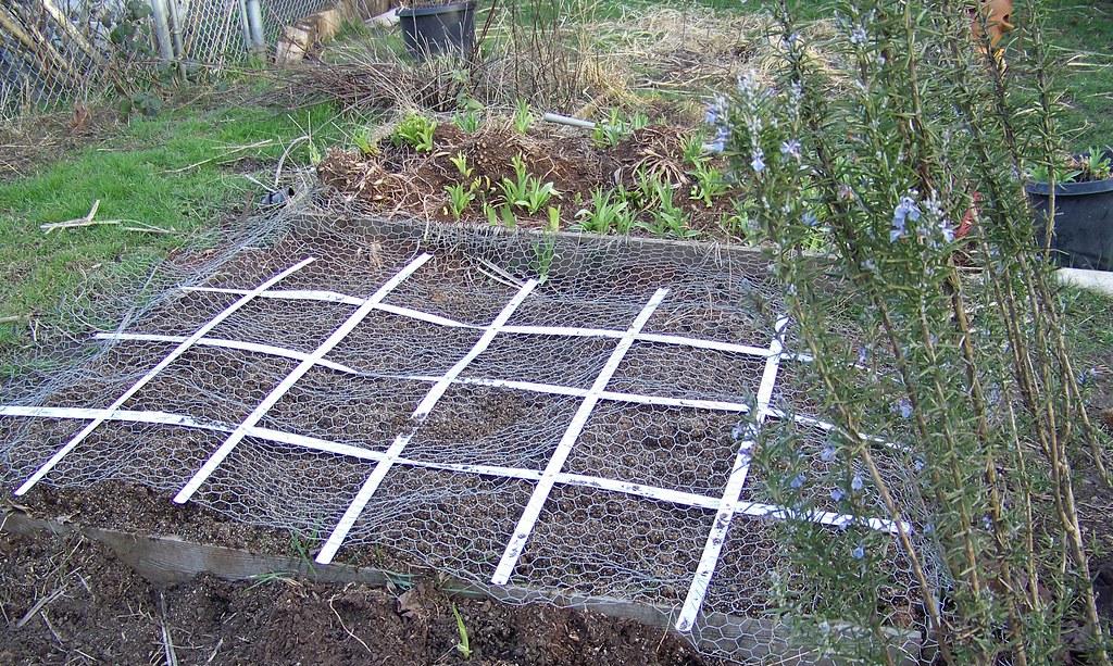 Announcing - My Square Foot Garden!!