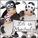 Life on Manitoulin: Just a bunch of ramblings from a city girl gone country!