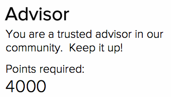 Advisor Description