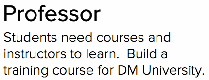 Professor Description