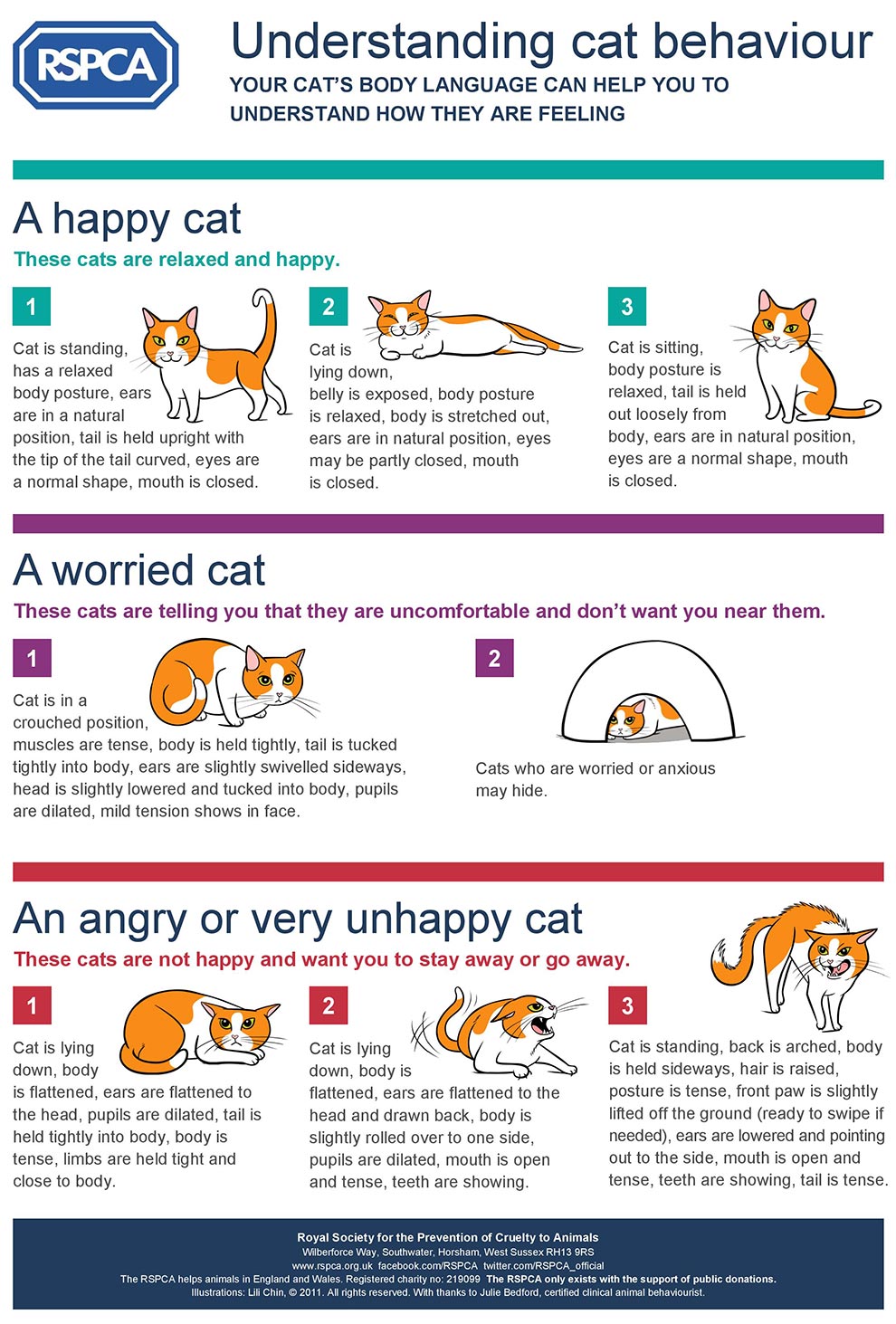 RSPCA Understanding Cat Behaviour