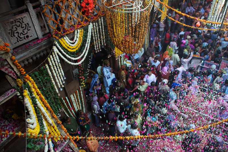 هولي : مهرجان الألوان في الهند