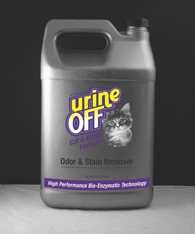 Removing Cat Urine Smell From Hardwood, How To Remove Cat Urine Smell On Hardwood Floors