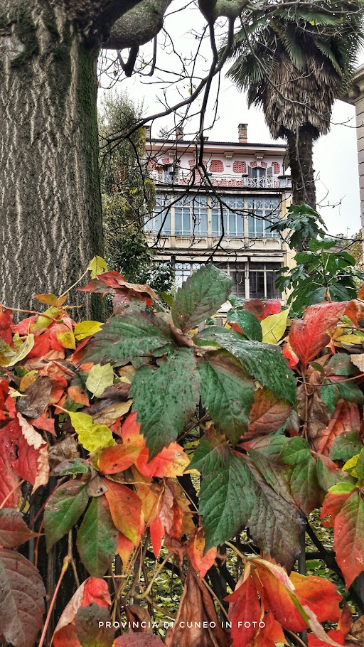 Fotografie Autunno a Cuneo