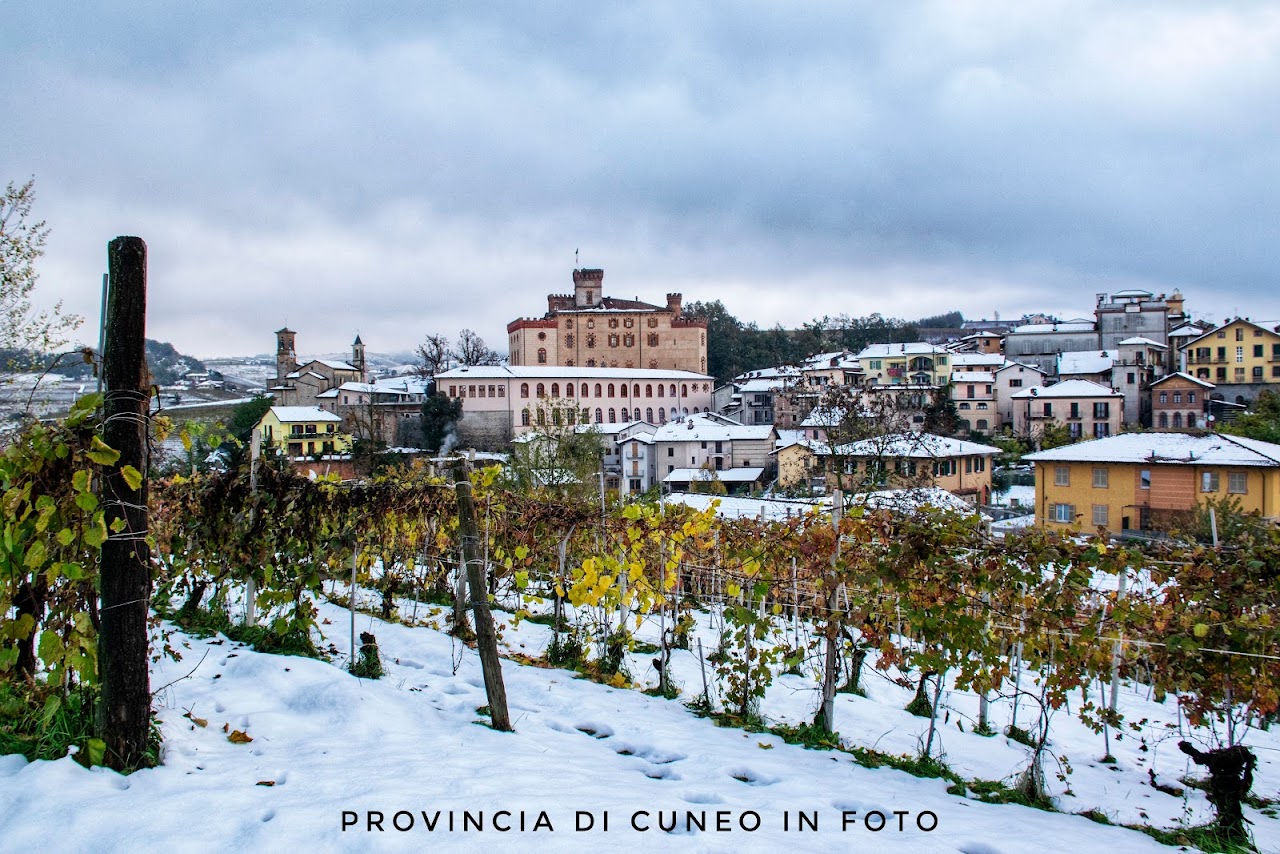 Fotografie Castello dei Falletti - Barolo