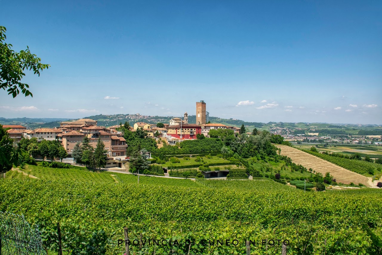 Fotografie Borgo di Barbaresco - Langhe