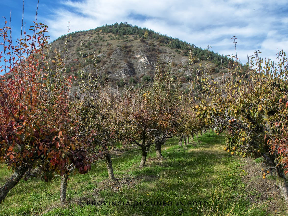 Il Sentiero dei Frati - Valgrana