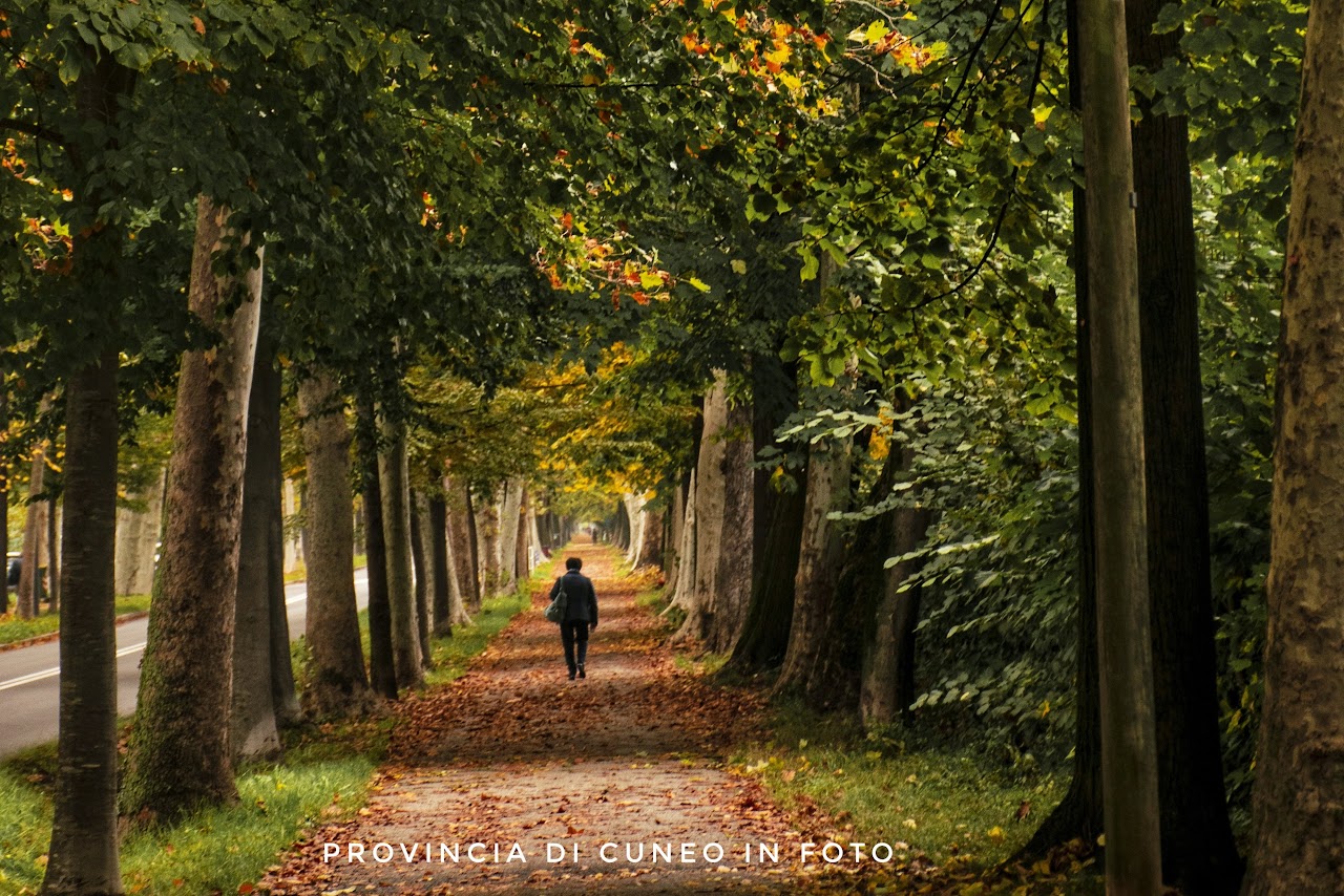 Fotografie Viale degli Angeli - Cuneo