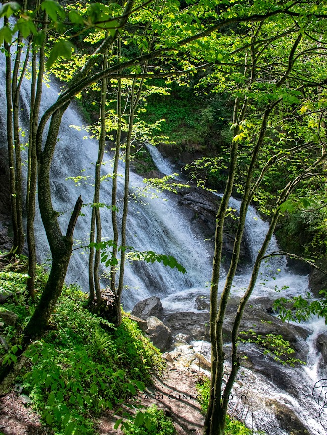 Fotografie Cascate del Saut - Valle Pesio