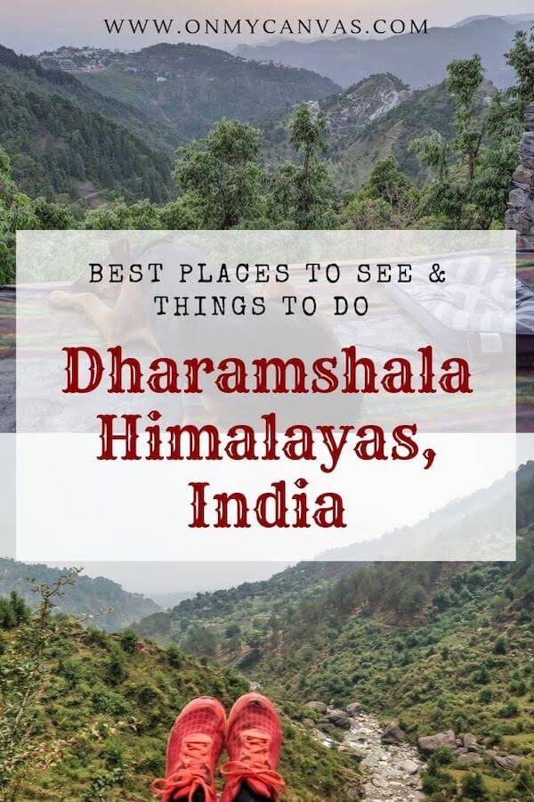 travel guide dharamshala