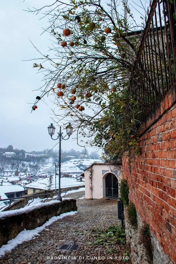 Fotografie La Morra - Langhe