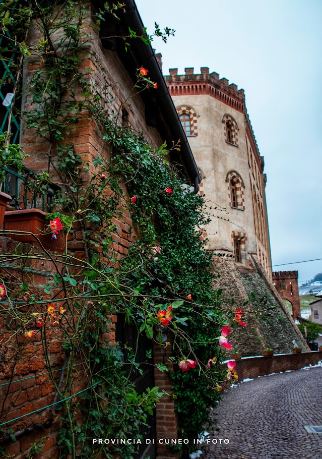 Fotografie Castello dei Falletti - Barolo