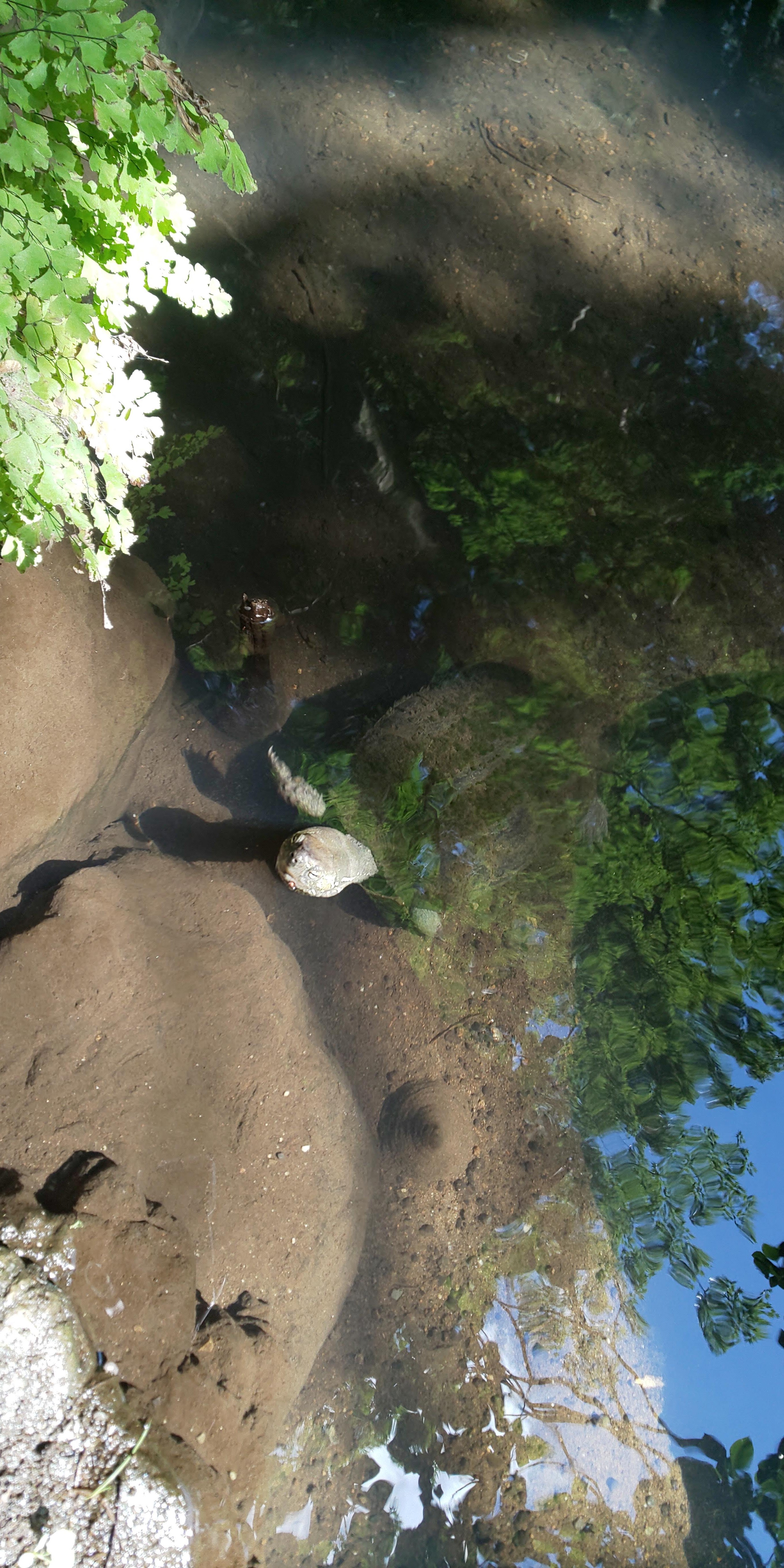 �u�Z�`���v�̋T����B