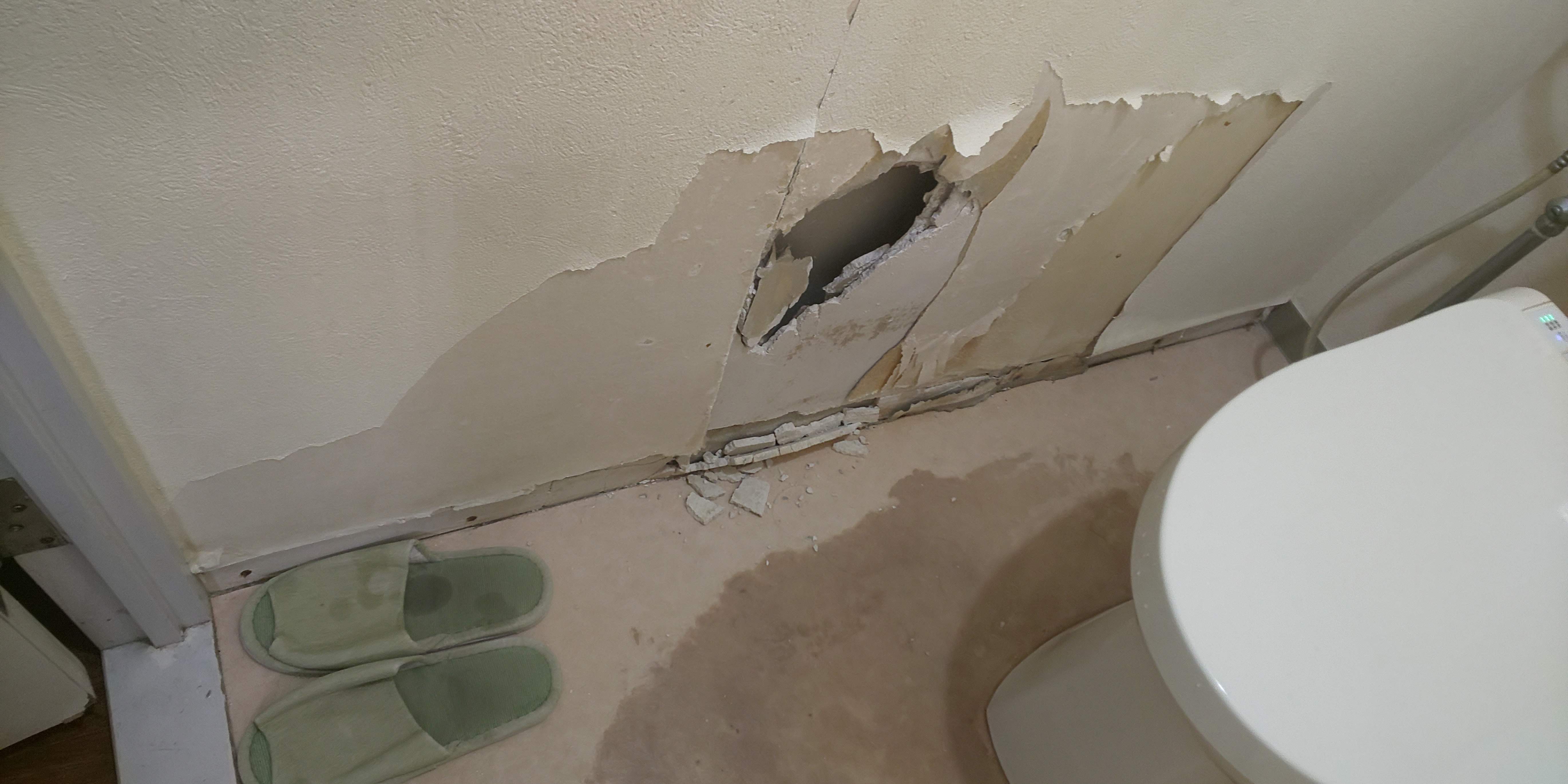 �Ђ� !! �傫���ق��̌��B���̕�C�ނ܂Ŕ�������Ă܂����B���̂��łɁA���ɐڂ��鉡�� ? �܂ł����ꏏ�Ɉ�����������ĂāB