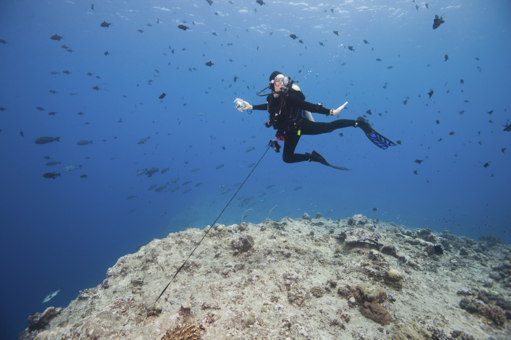 Scuba diver using a reef hook at the Blue Corner dive site in Palau.