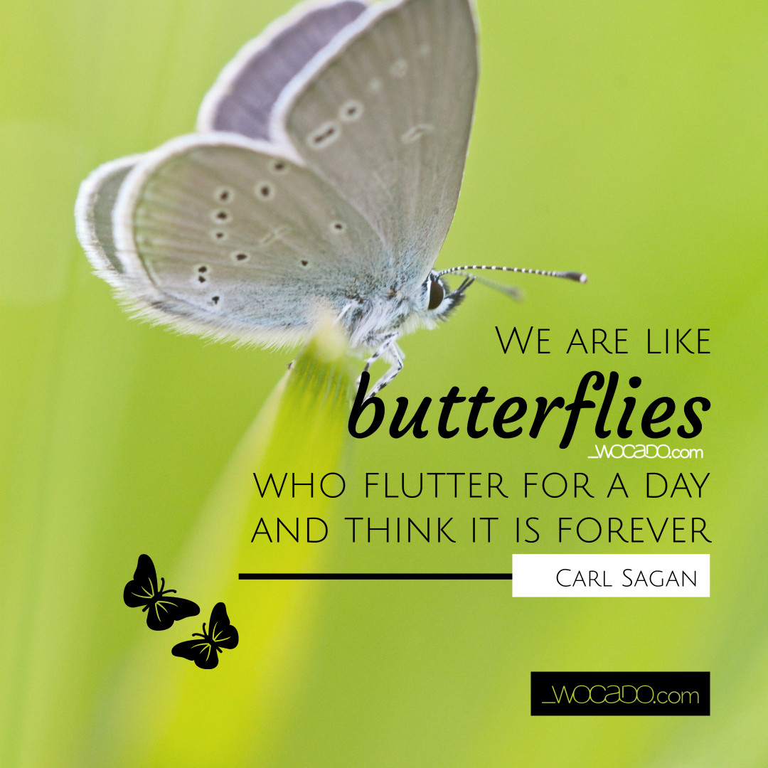 We Are Like Butterflies - Carl Sagan Quote