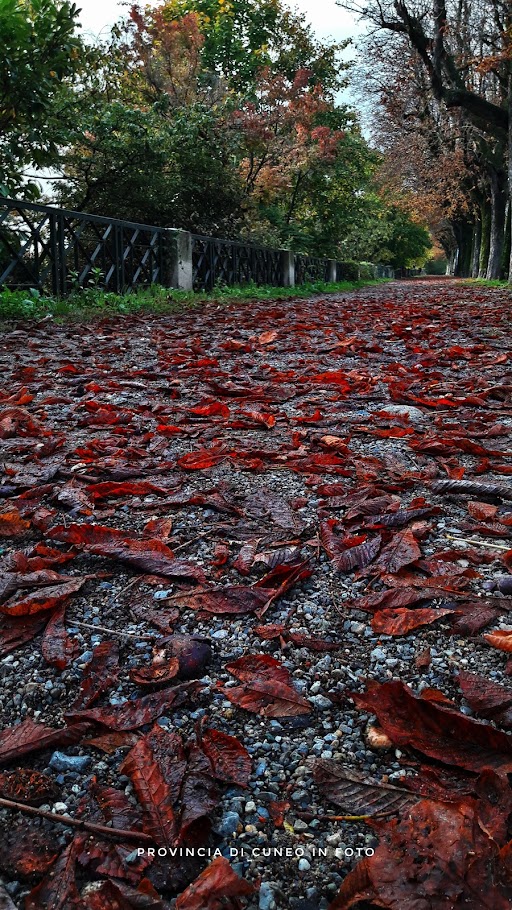 Fotografie Autunno a Cuneo