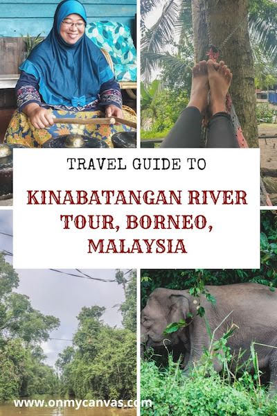 kinabatangranrivertour