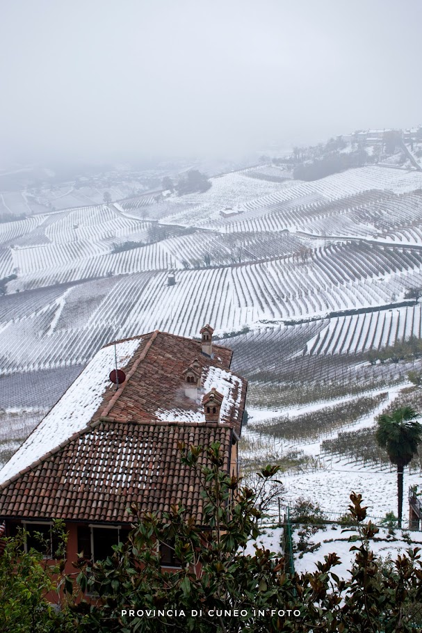 otografie La Morra - Langhe - Diano d'Alba