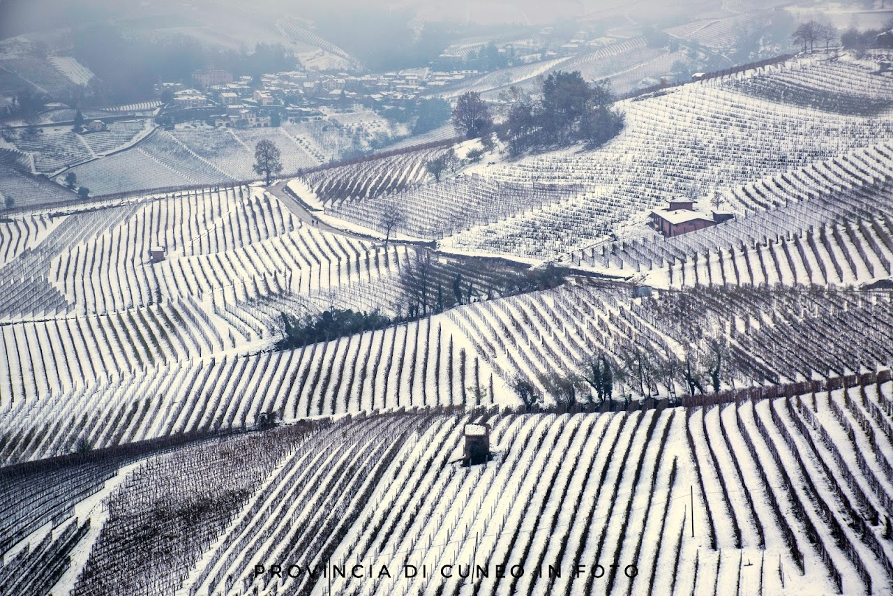 Fotografie Neve in Langa