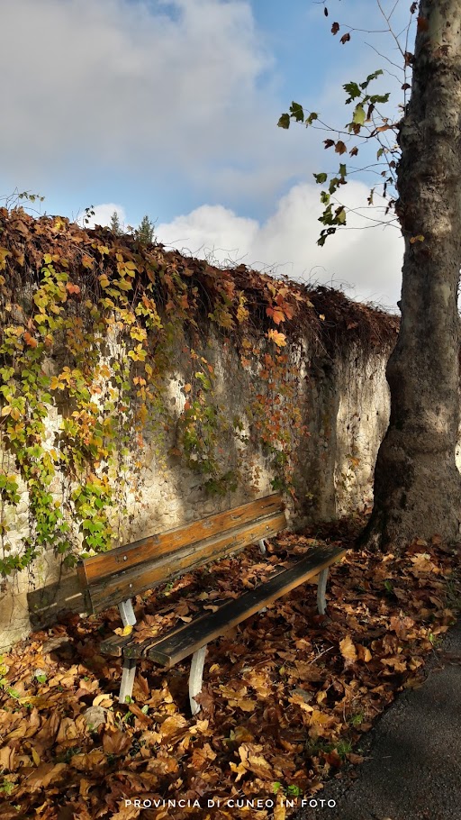 Fotografie Autunno a Cuneo