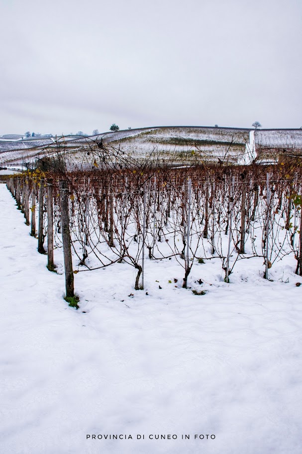 Fotografie Neve in Langa