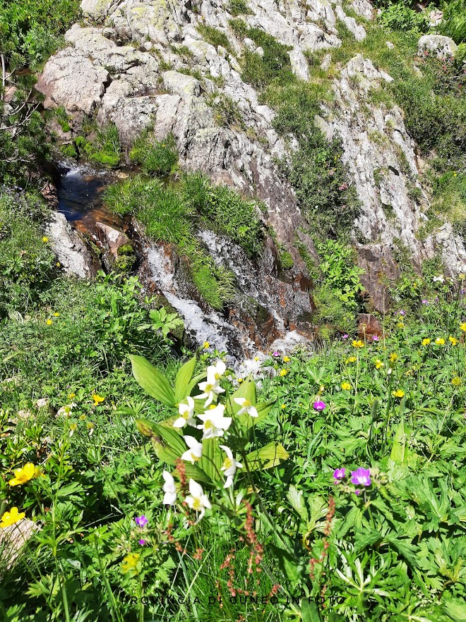 Fotografie Anello dei Laghi di Palanfrè - Valle Vermenagna